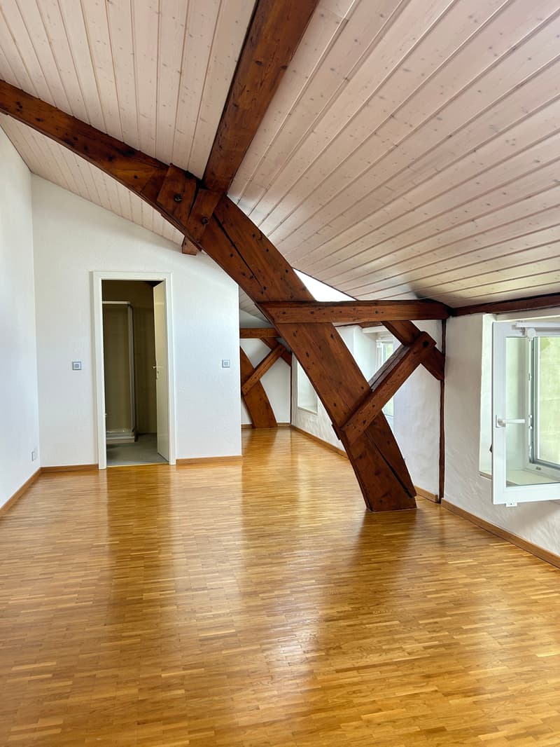 Magnificent 7.5-room villa in Chigny (6)