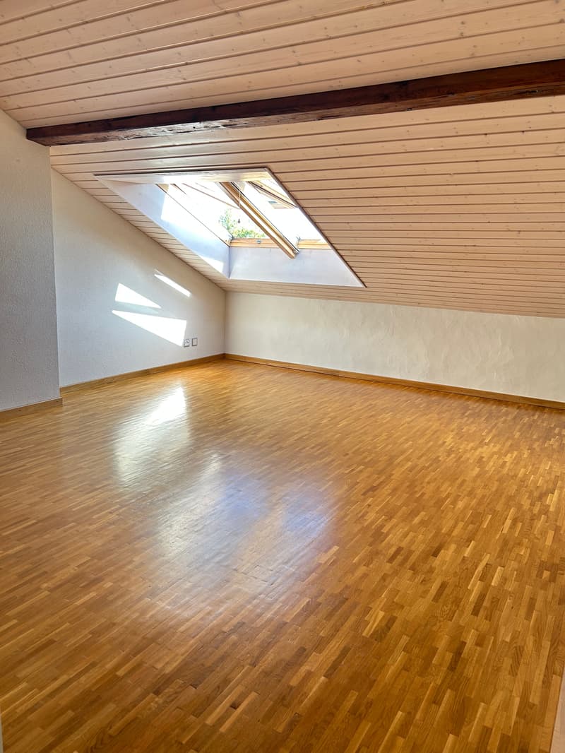Magnificent 7.5-room villa in Chigny (3)