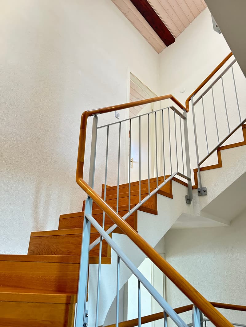 Magnificent 7.5-room villa in Chigny (11)