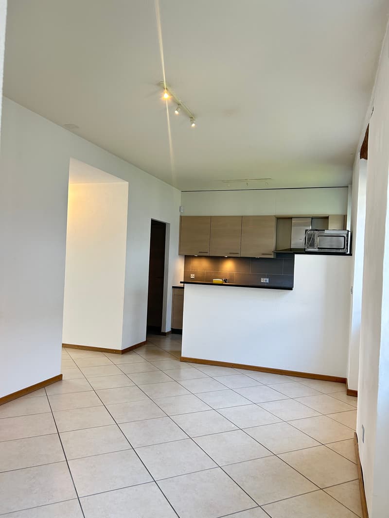 Magnificent 7.5-room villa in Chigny (18)