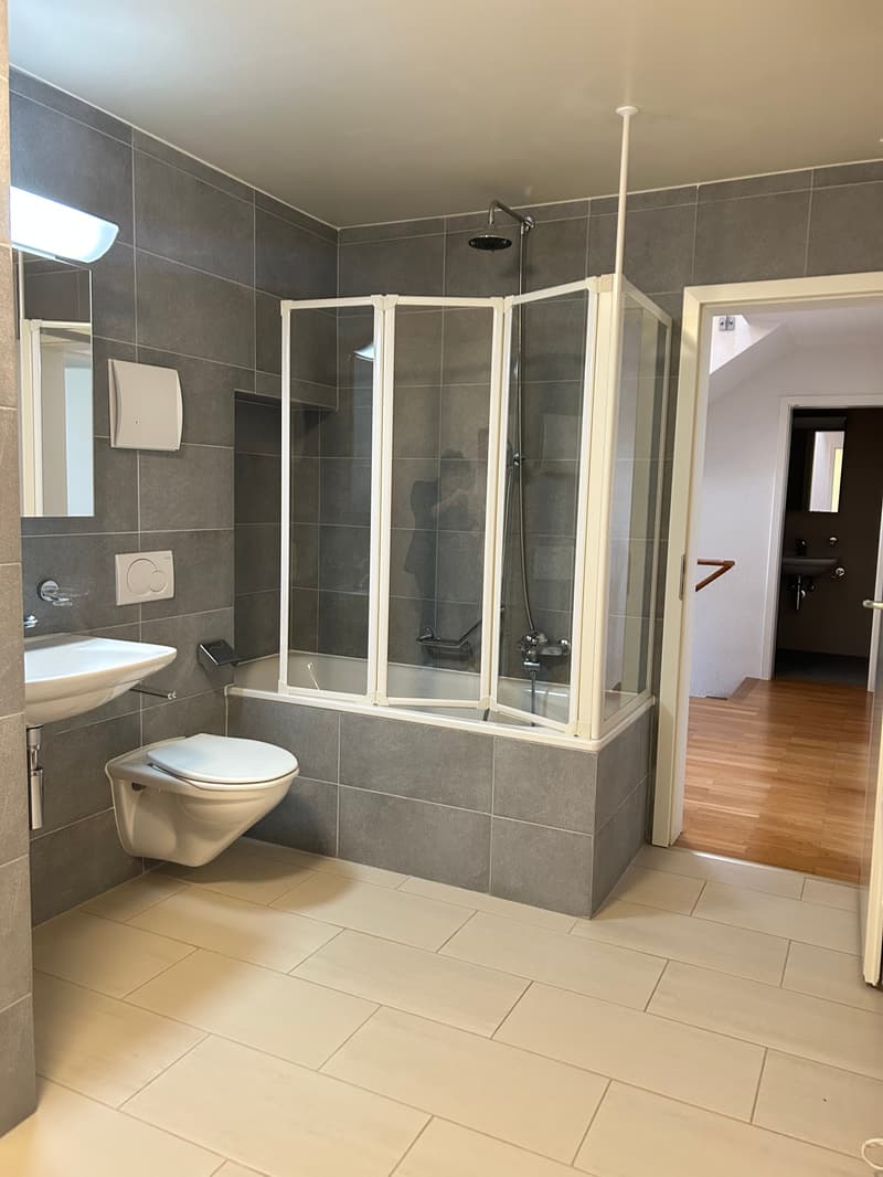 Magnificent 7.5-room villa in Chigny (10)
