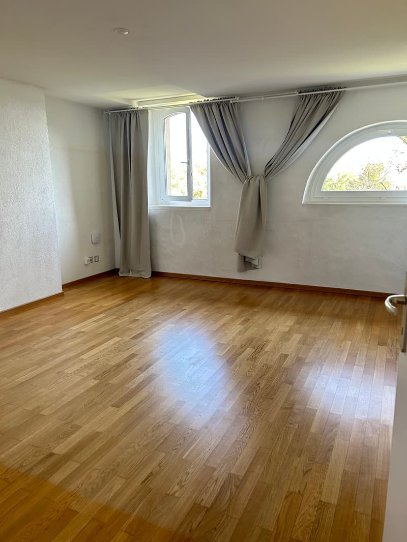 Magnificent 7.5-room villa in Chigny (12)