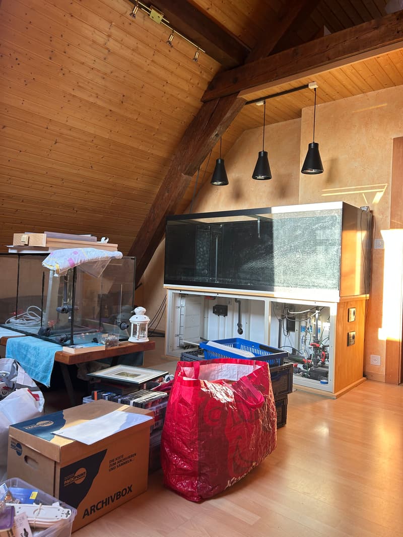 Appartamento di 3 locali con soppalco a Saint-Prex (7)