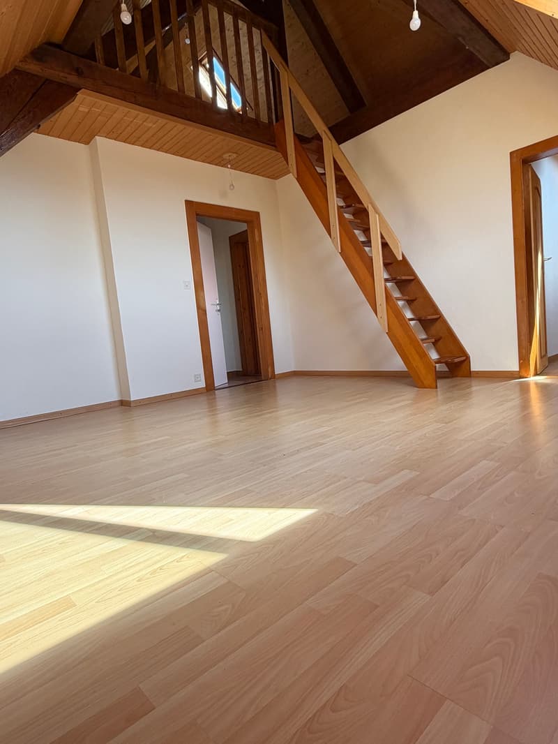 3.5 pièces rafraîchi avec jardin à Saint-Prex (1)