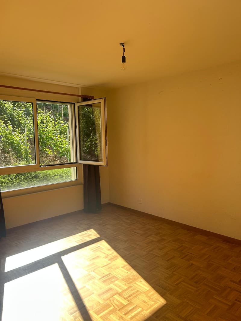Charmant appartement de 4.5 pièces à Ollon (3)