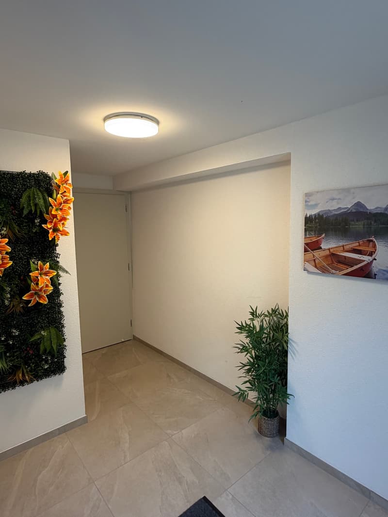Local commercial neuf (2)