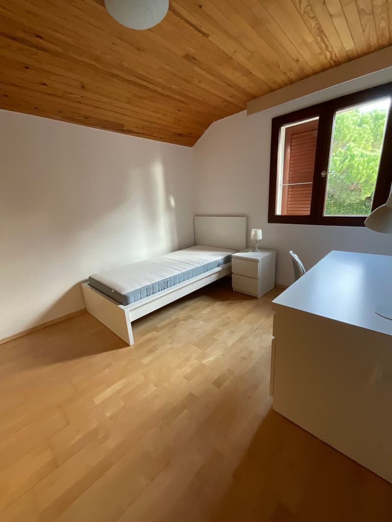 Villa mit Garten zur Miete - BEFRISTETER MIETVERTRAG (10)