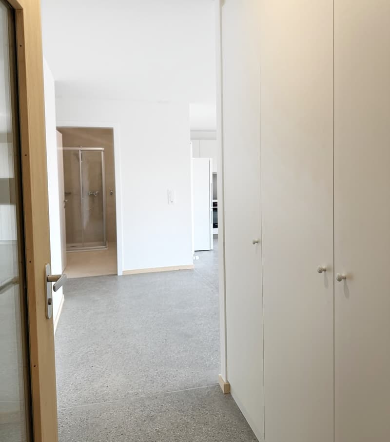 NOUVELLE CONSTRUCTION ! 3.5 pièces de charme (2)