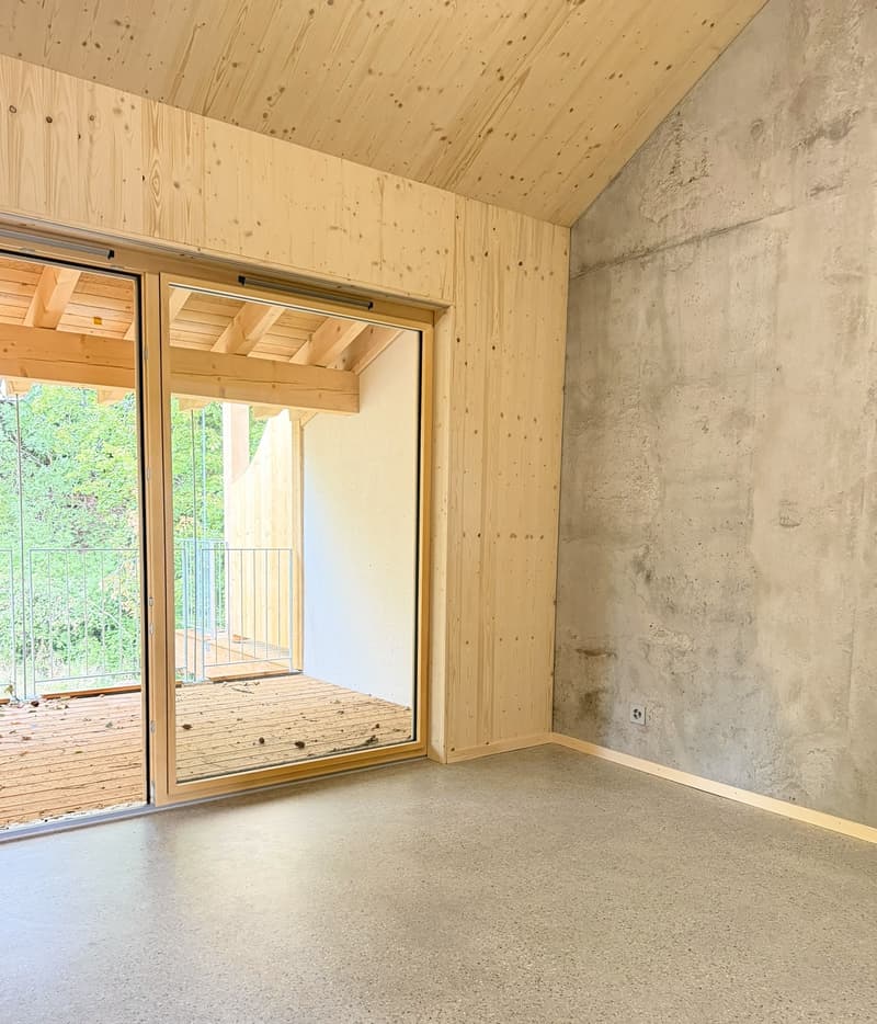 NOUVELLE CONSTRUCTION ! 3.5 pièces en duplex (5)