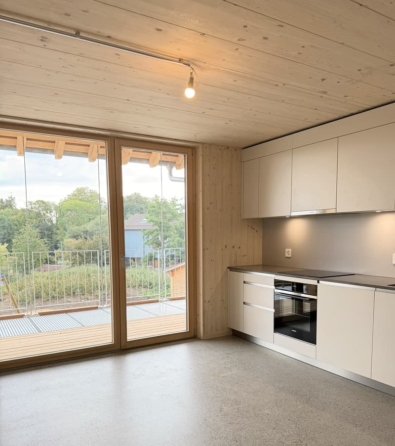 NOUVELLE CONSTRUCTION ! 3.5 pièces en duplex (2)