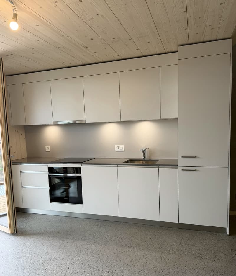 NOUVELLE CONSTRUCTION ! 3.5 pièces en duplex (3)