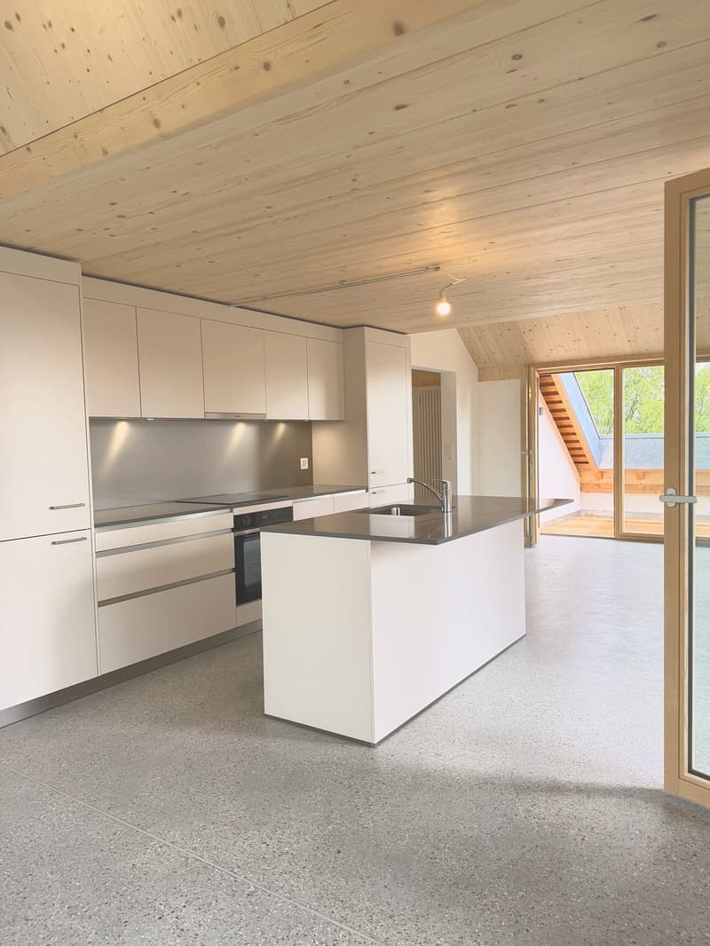 Charmant 3.5 pièces en duplex (1)