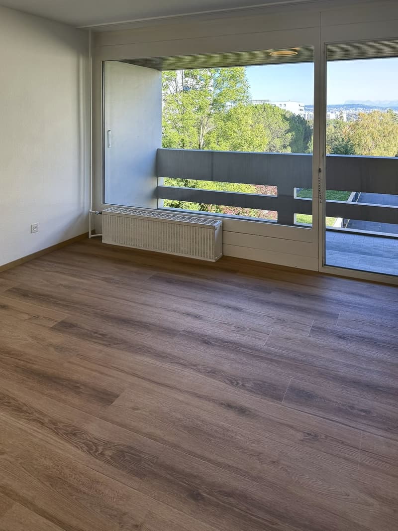 Appartement de 3.5 pièces avec piscine, entièrement rénové ! (5)