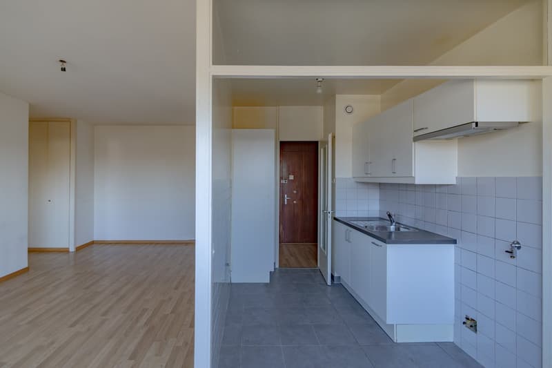 Charmantes 3-Zimmer-Wohnung in Lancy (4)