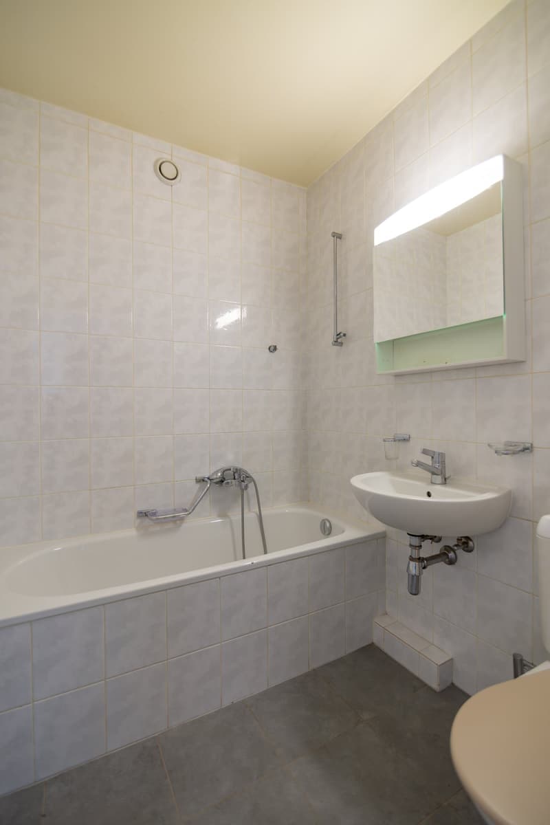 Charmantes 3-Zimmer-Wohnung in Lancy (6)