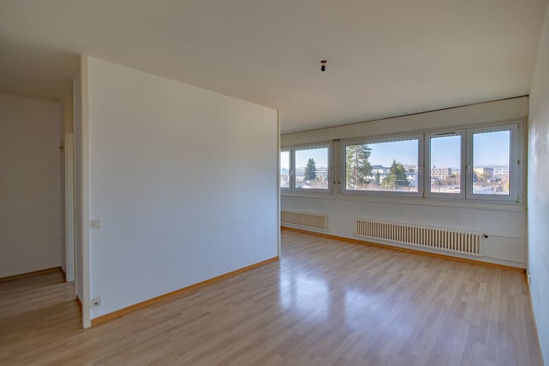 Charmantes 3-Zimmer-Wohnung in Lancy (3)