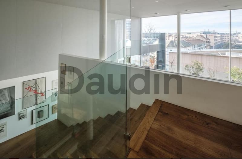 7-room attic with panoramic view in Carouge (4)
