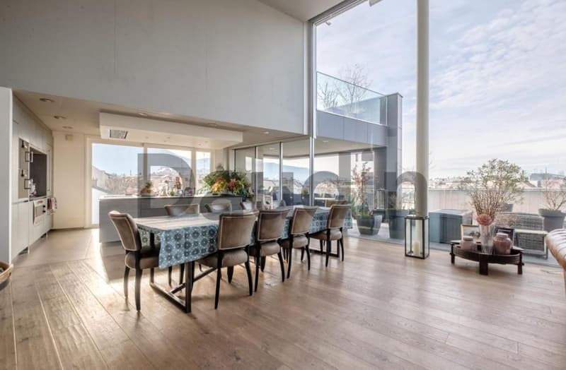 7-room attic with panoramic view in Carouge (1)