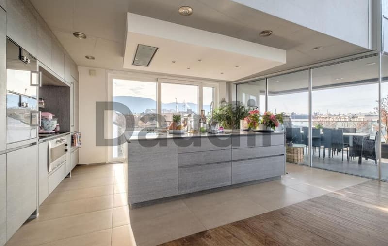 7-room attic with panoramic view in Carouge (3)