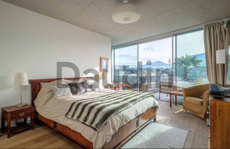 7-room attic with panoramic view in Carouge (5)