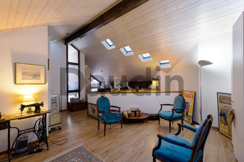 Magnificent 6-room architect's villa in a quiet residential area (11)