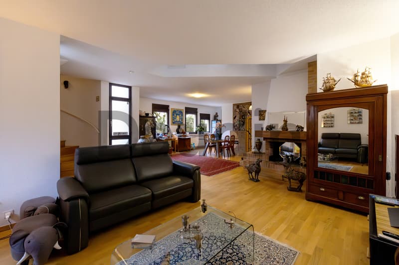 Magnificent 6-room architect's villa in a quiet residential area (3)
