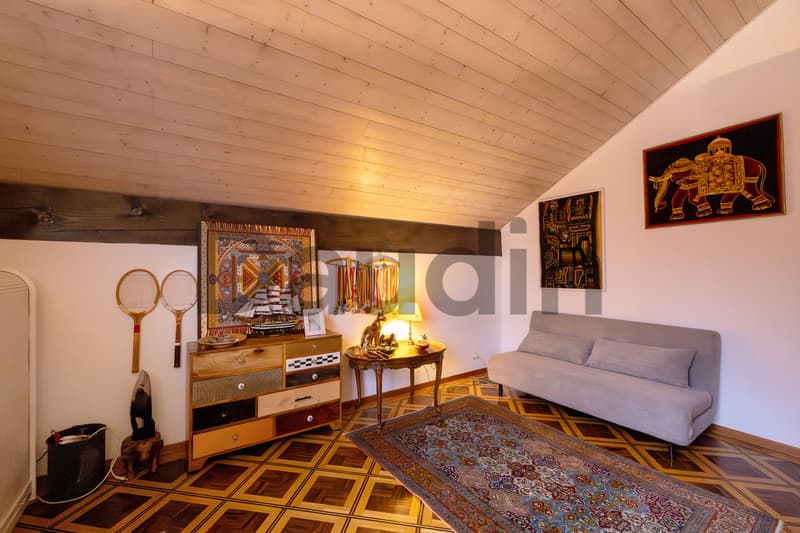 Magnificent 6-room architect's villa in a quiet residential area (9)