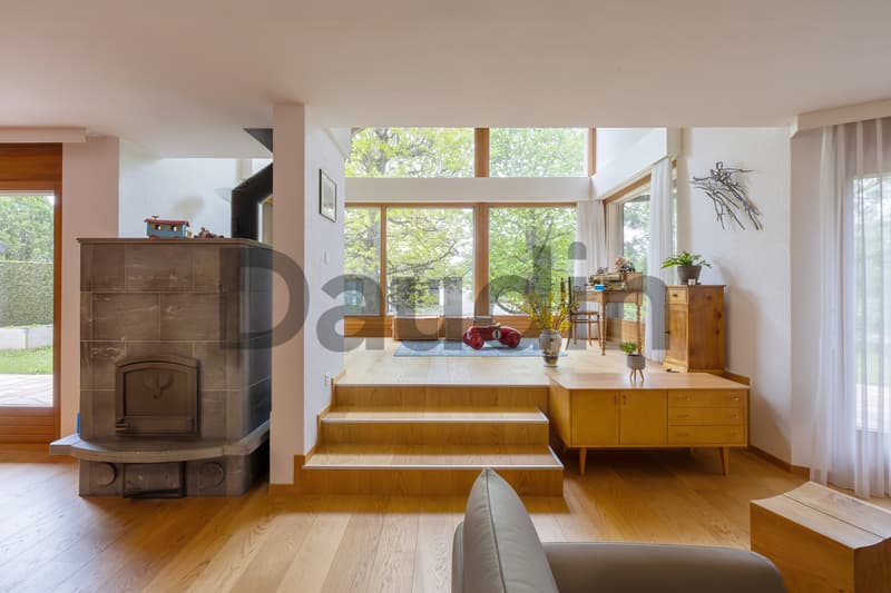 Detached house with 9 rooms near Nyon (3)