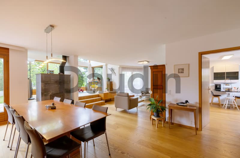 Detached house with 9 rooms near Nyon (2)
