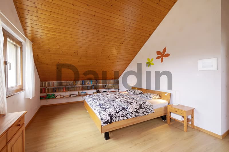 Detached house with 9 rooms near Nyon (6)