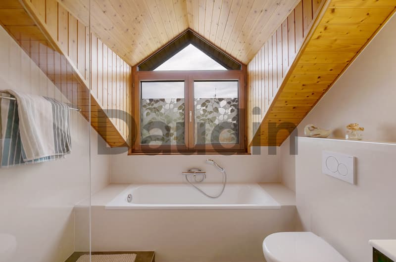 Detached house with 9 rooms near Nyon (8)