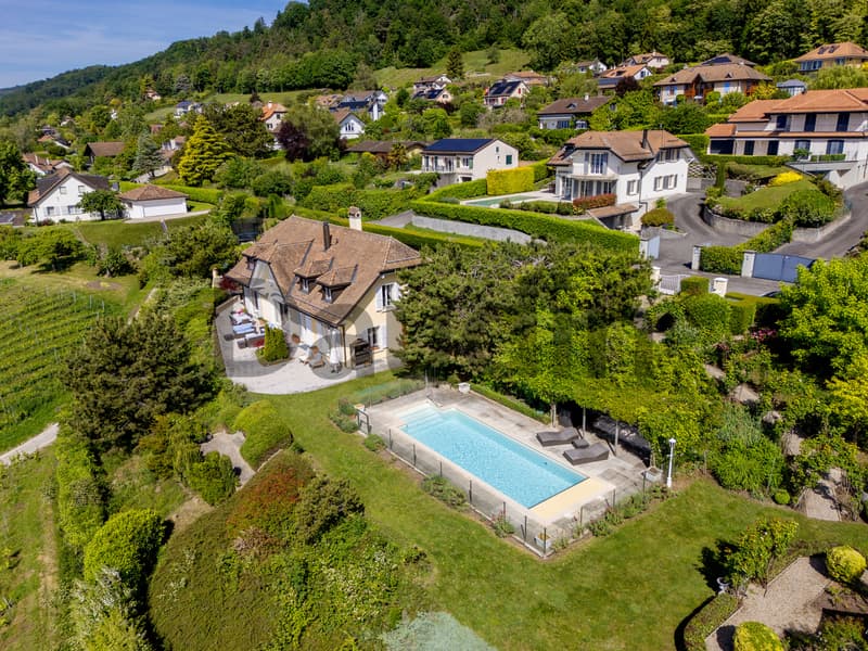 A prestigious property overlooking Lake Geneva (10)