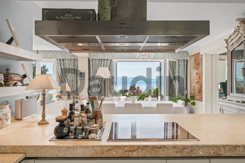 A prestigious property overlooking Lake Geneva (4)