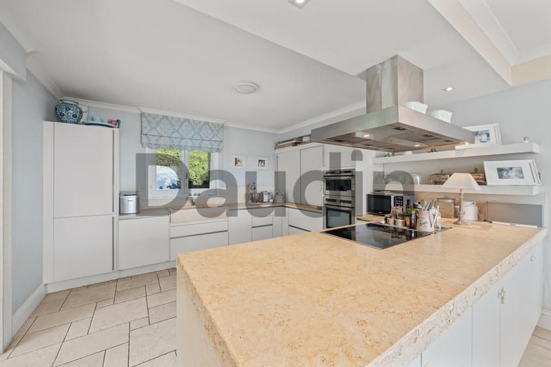 A prestigious property overlooking Lake Geneva (5)