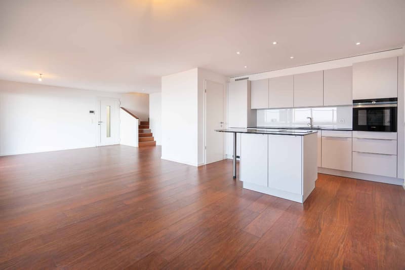 Exceptional waterfront property (4)