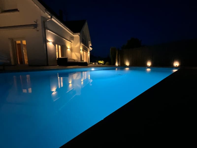 Magnificent contemporary house with pool in Kembs (7)