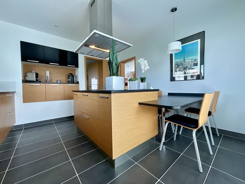 Magnificent contemporary house with pool in Kembs (14)