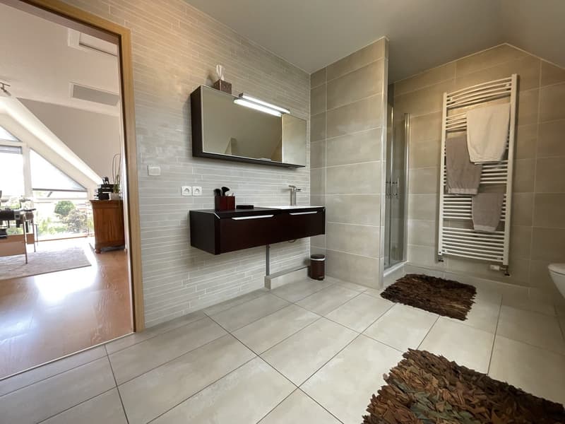Magnificent contemporary house with pool in Kembs (26)
