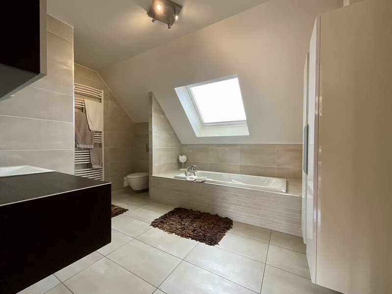 Magnificent contemporary house with pool in Kembs (23)