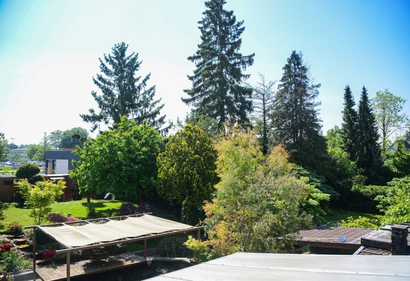 Giardino paesaggistico – Piscina – Area benessere – Huningue (7)