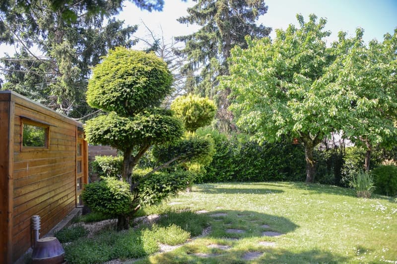 Giardino paesaggistico – Piscina – Area benessere – Huningue (14)