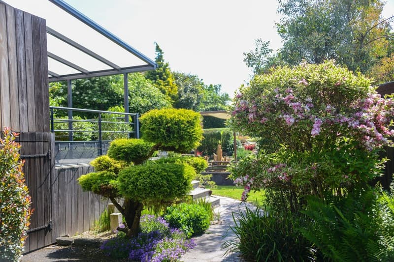 Giardino paesaggistico – Piscina – Area benessere – Huningue (12)