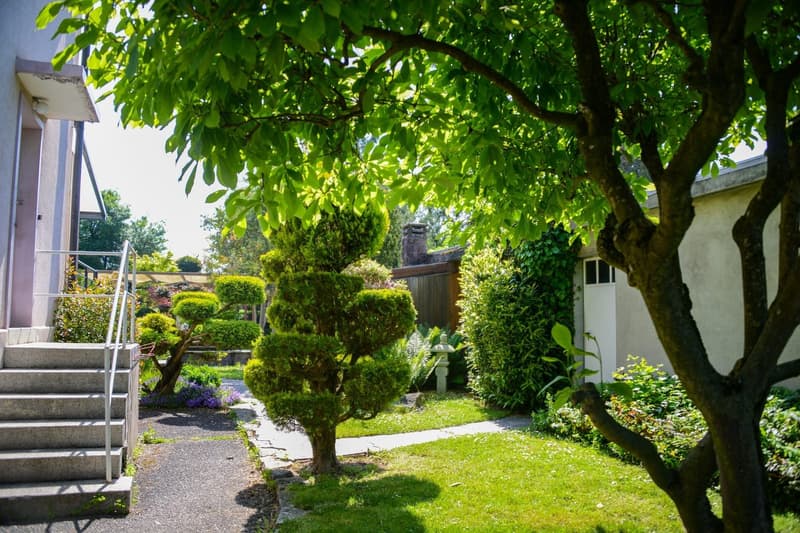 Giardino paesaggistico – Piscina – Area benessere – Huningue (11)