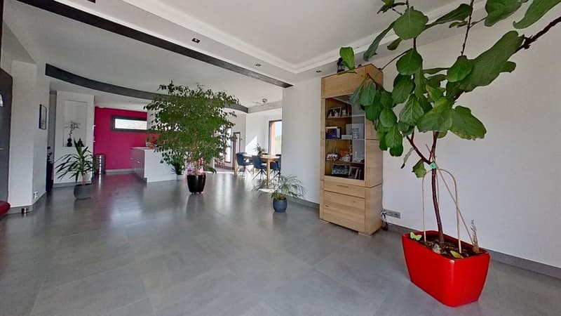 Spacious open-plan living area with concrete flooring, white walls, and large windows. The room features a wooden shelving unit and several potted plants, creating a modern and natural atmosphere.