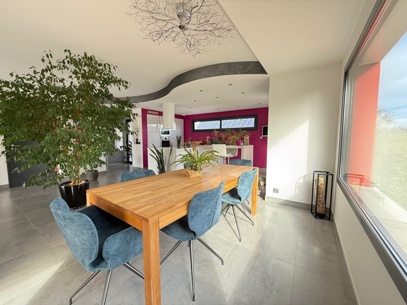 Spacious dining area with a large wooden dining table and blue upholstered chairs. The room features a modern chandelier and large windows overlooking a balcony or terrace. The walls have a vibrant pink accent color, creating a stylish and contemporary at