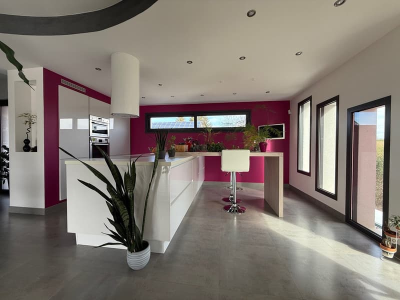 Modern kitchen with white cabinets, pink accent walls, large windows, kitchen island with bar stools, and potted plants