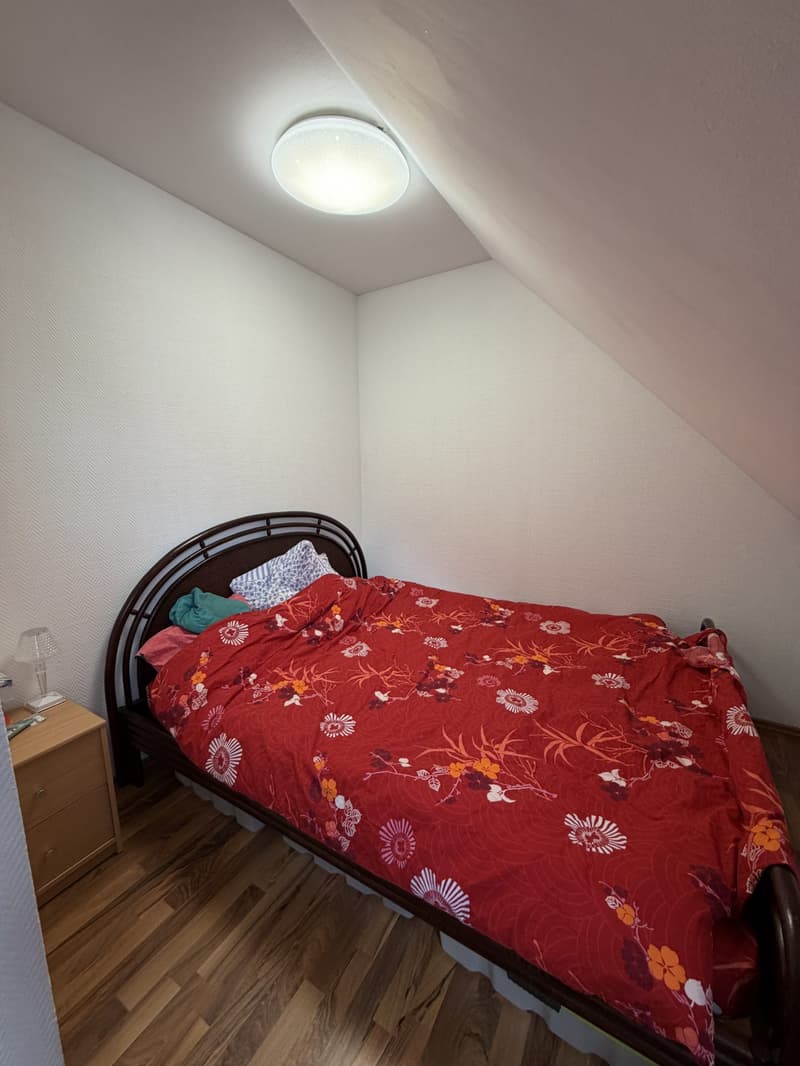 Triplex mit 125 m² Wohnfläche in Hésingue (Frankreich) – Nur 5 Minuten von der Schweizer Grenze (7)