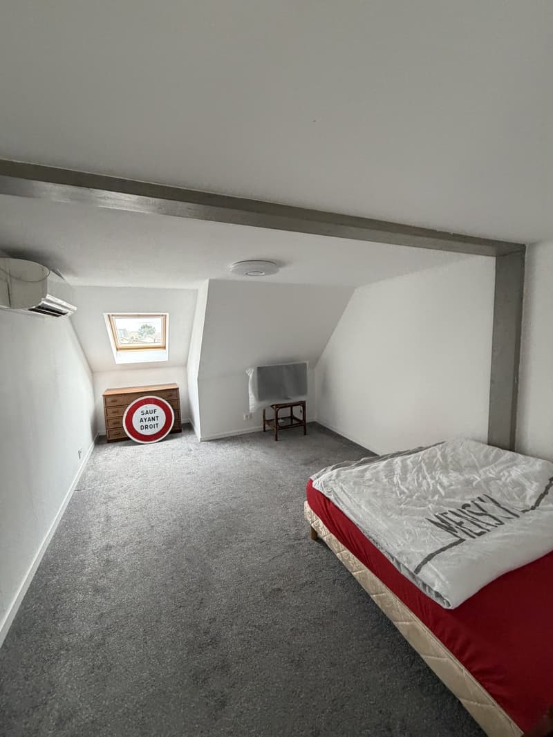Triplex mit 125 m² Wohnfläche in Hésingue (Frankreich) – Nur 5 Minuten von der Schweizer Grenze (11)