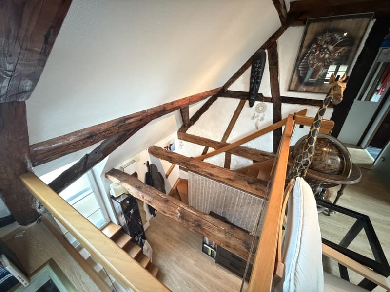 Café-Restaurant de Caractère à Vendre à Hesingue – 430 m² de Charme Alsacien (22)