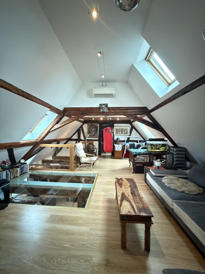 Café-Restaurant de Caractère à Vendre à Hesingue – 430 m² de Charme Alsacien (19)